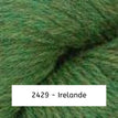 2429 - Irelande