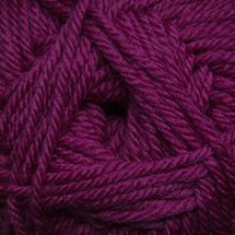 22 - Raspberry
