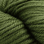 3358 - Pickle **NEW**