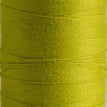 4269 - Light Lime