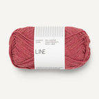 4335 - Raspberry Cream