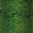 5536 - Fir