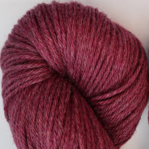 51171 - Begonia