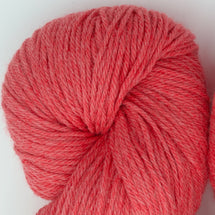 51193 - Guava