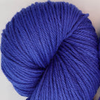 5160 - Wild Blueberry