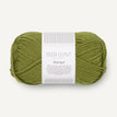 9564 - (PK) Matcha