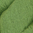 105 - Wasabi