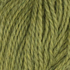 1018 - Wild Chartreuse