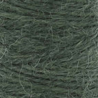 098 - Enchanted Forest