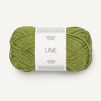9564 - Matcha **NEW**