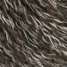 11012 - Russet *NEW*