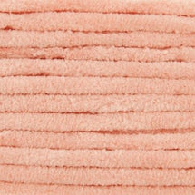 15 - Salmon