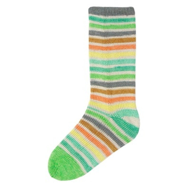 Evolution Cotton Sock **NEW**