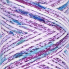 3009 - Surfers Paradise