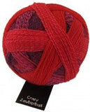 Crazy Zauberball - A Twist of Yarn