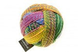 Crazy Zauberball - A Twist of Yarn