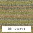 650 - Forest