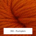 3310 - Pumpkin