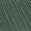 093 - Eucalyptus