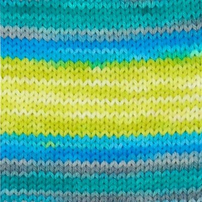 Evolution Sock - A Twist of Yarn