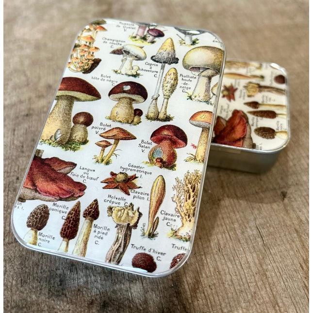 Firefly Notes Notions Tin - Large (Empty) - A Twist of Yarn