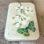 Dogwood & Green Moth