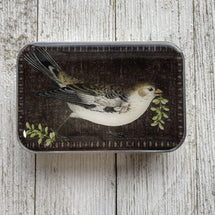 Birdsong