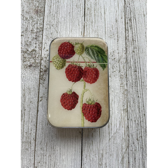 Firefly Notes Notions Tin - Large (Empty) - A Twist of Yarn