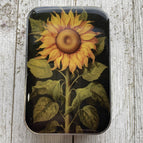 Beautiful Sunflower