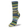 Flotte Sock 6 - Ply Relax - A Twist of Yarn