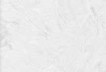 01 - Arctic Fox
