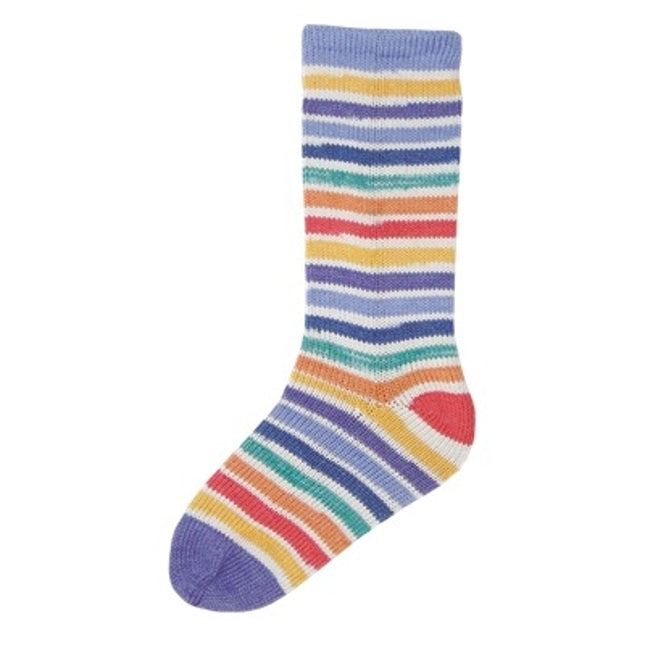 Evolution Cotton Sock **NEW**