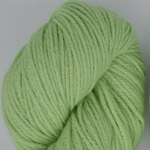 5124 - Kiwi