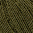 098 - Olive