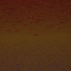 311 - Grape/Rust/Maroon