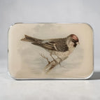 Redpoll Bird **NEW**