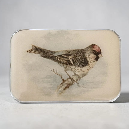Firefly Notes Notions Tin - Large (Empty)