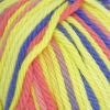 Sudz Cotton - Multi - A Twist of Yarn