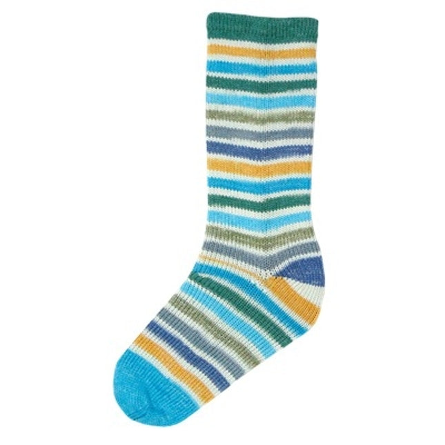 Evolution Cotton Sock **NEW**