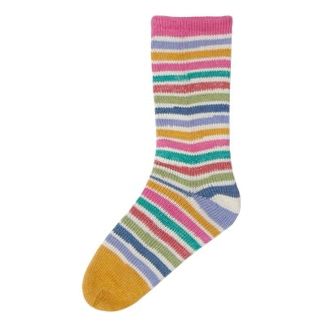 Evolution Cotton Sock **NEW**