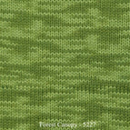 5227 - Forest Canopy