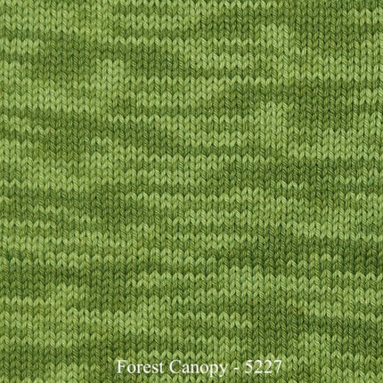 Vintage Handpaint *NEW* - A Twist of Yarn