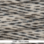 12203 - Silver Lining