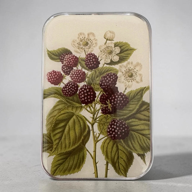 Firefly Notes Notions Tin - Large (Empty)