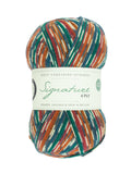 WYS Signature 4 ply - A Twist of Yarn