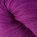 2167 - Dewberry