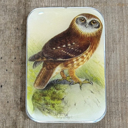 Firefly Notes Notions Tin - Large (Empty)