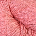 21193 - Guava B/O